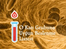 0 kan grubu için önerilen beslenme listesi