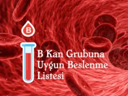 B kan grubu için önerilen beslenme listesi